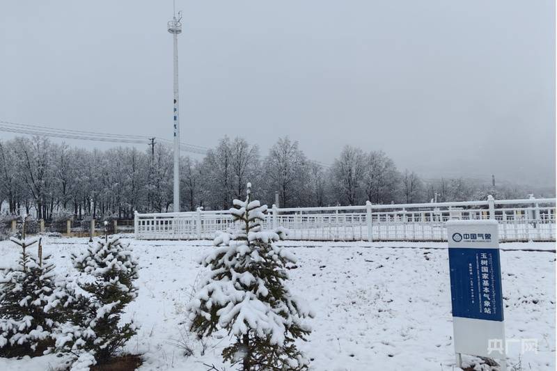 中到大雪局地暴雪！春日三江源雪花飘飘