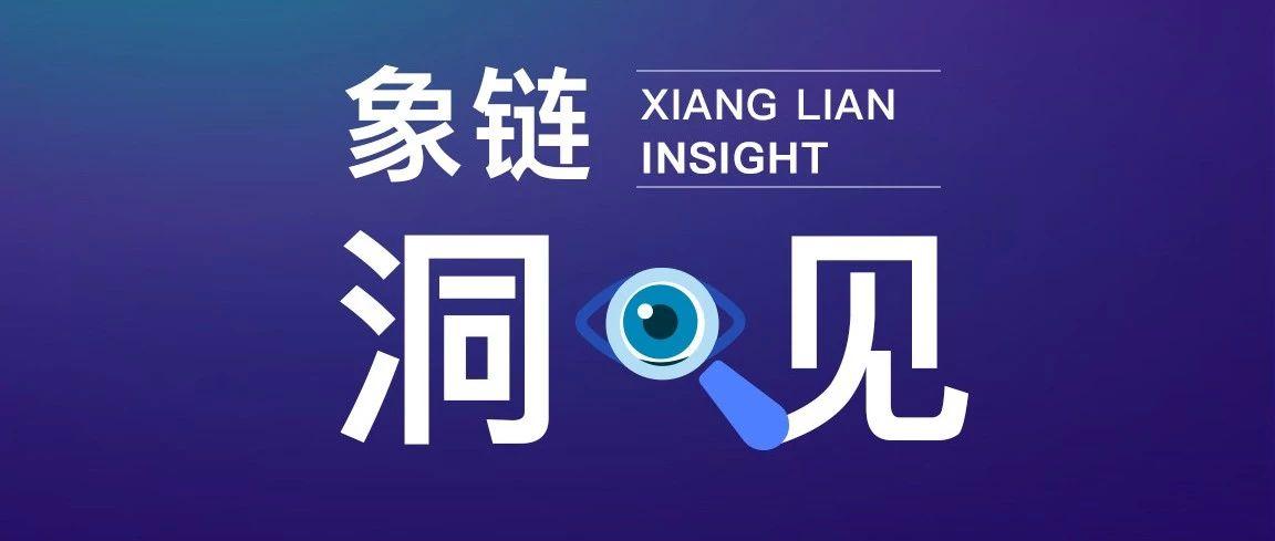 象链币(项链标语)