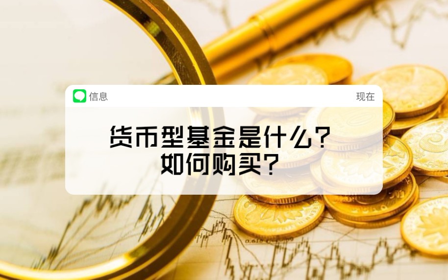 货币型(货币型基金收益排名一览表)