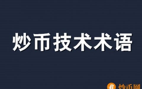 币圈行业术语(币圈行业术语是什么)