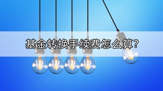 货币转换手续费(15%货币转换费)