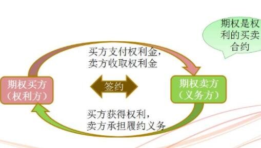 货币期权(货币期权也可以称为)